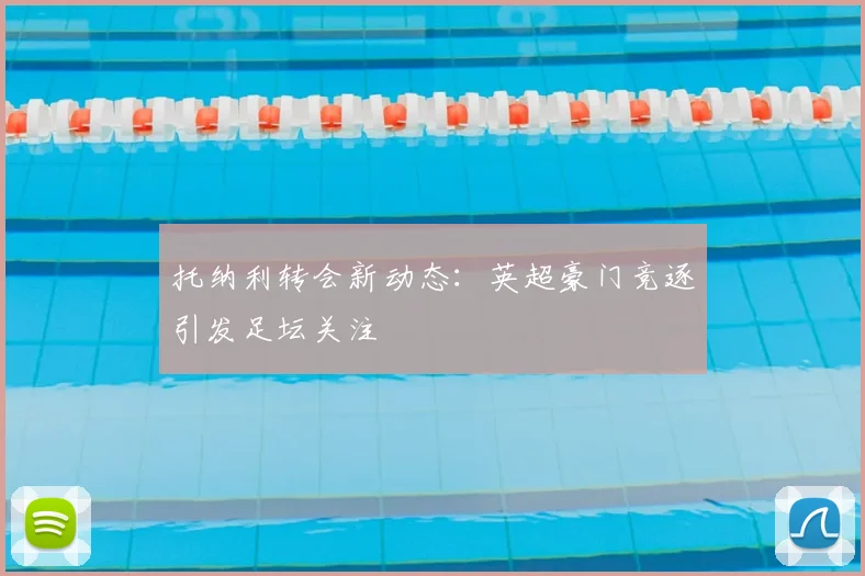 托纳利转会新动态：英超豪门竞逐引发足坛关注