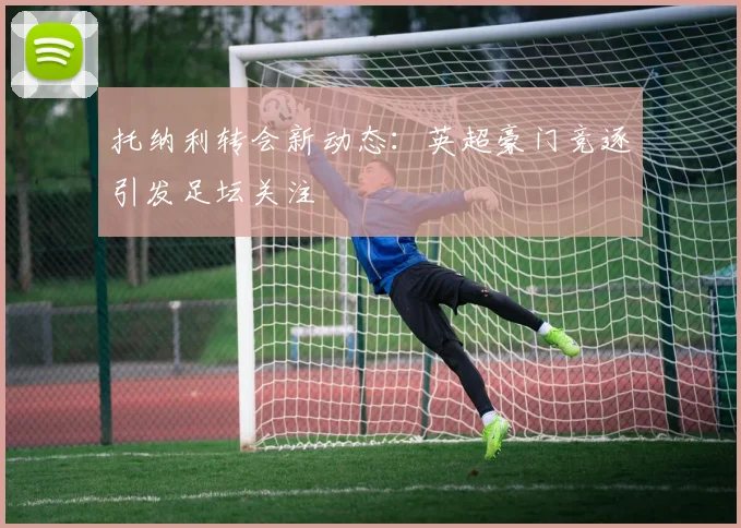 托纳利转会新动态：英超豪门竞逐引发足坛关注