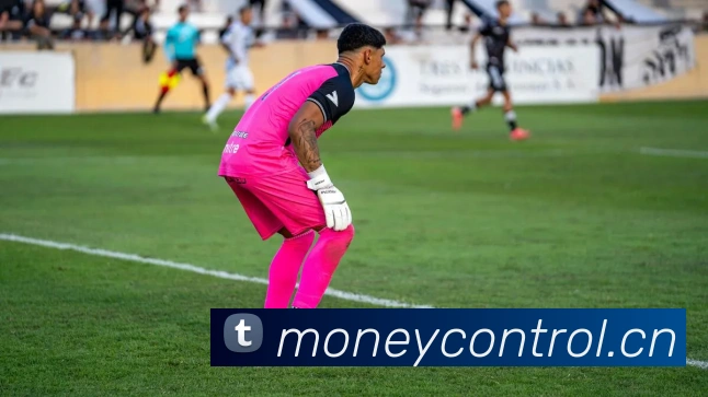 App Interface Preview